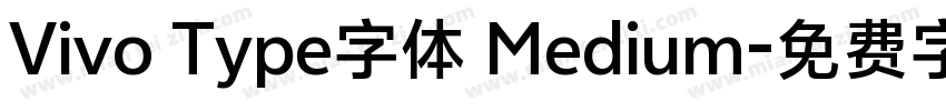 Vivo Type字体 Medium字体转换